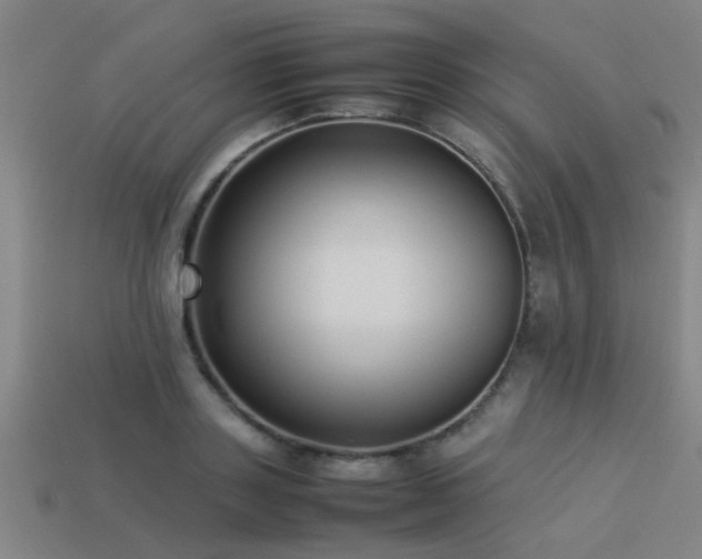 X0000113290843200909141203