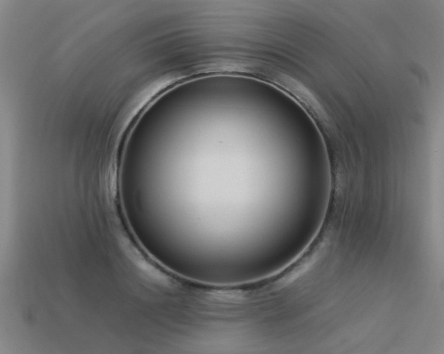 X0000113290844200909141203