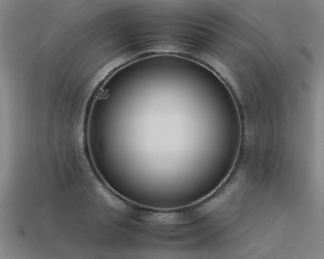 X0000113290845200909141203