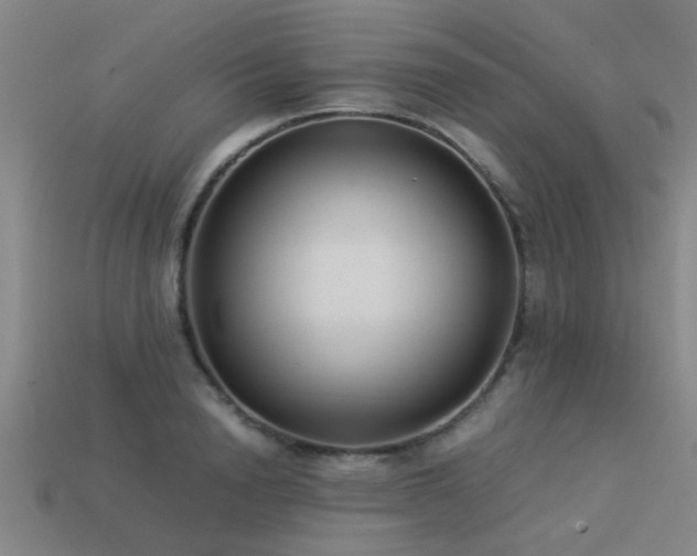 X0000113290846200909141203