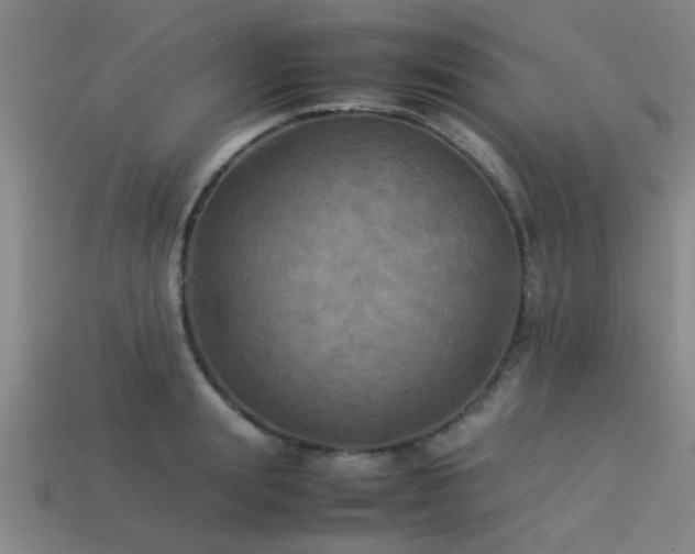 X0000113290847200909141203