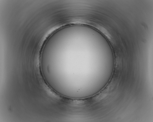 X0000113290848200909141203