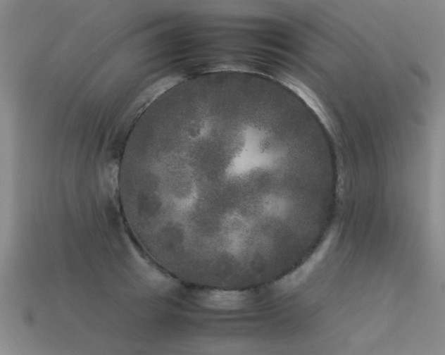 X0000113290849200909141203