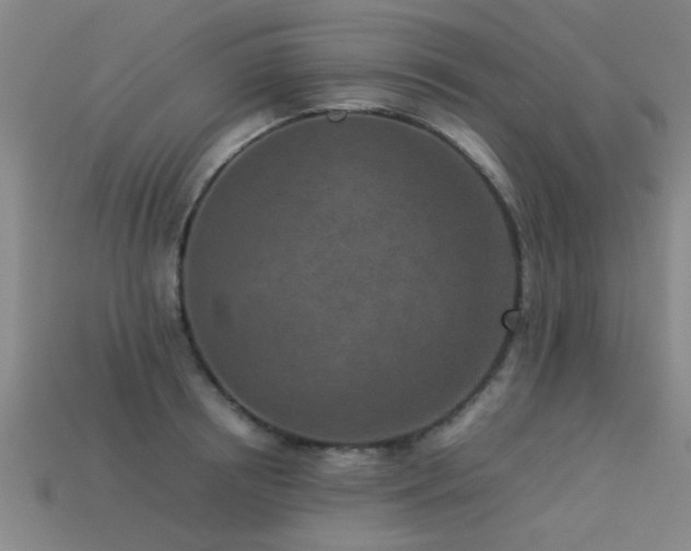 X0000113290850200909141203