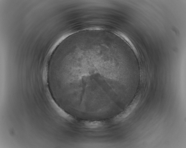 X0000113290851200909141203