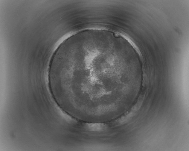 X0000113290853200909141203