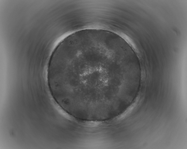 X0000113290854200909141203