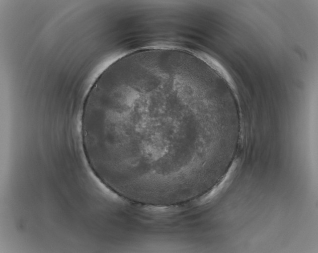 X0000113290855200909141203