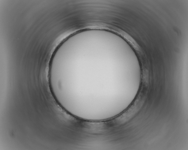 X0000113290856200909141203