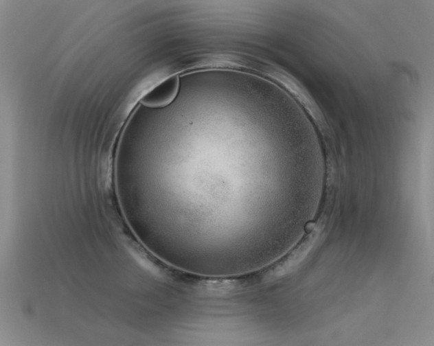 X0000113290858200909141203