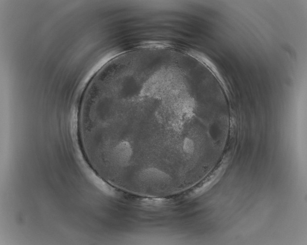 X0000113290859200909141203