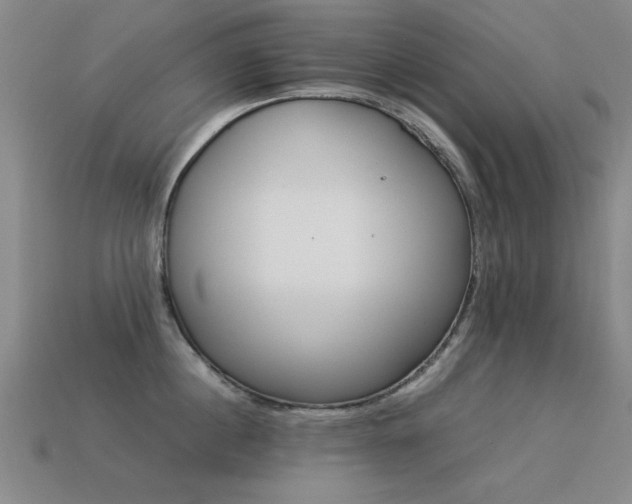 X0000113290860200909141203