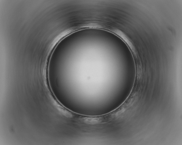 X0000113290861200909141203