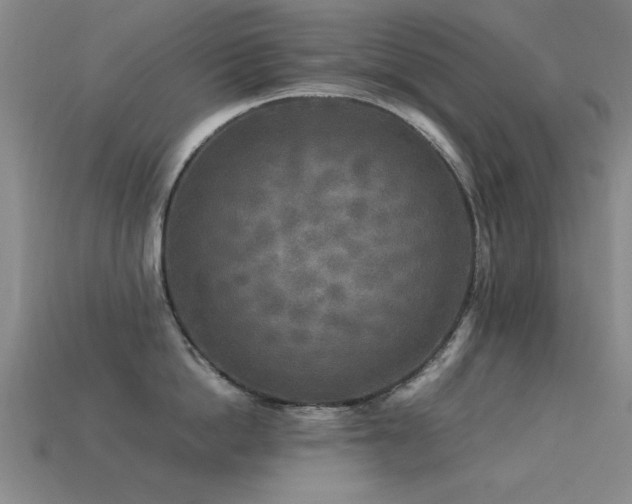 X0000113290862200909141203