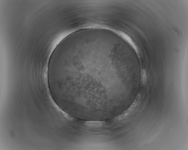 X0000113290863200909141203