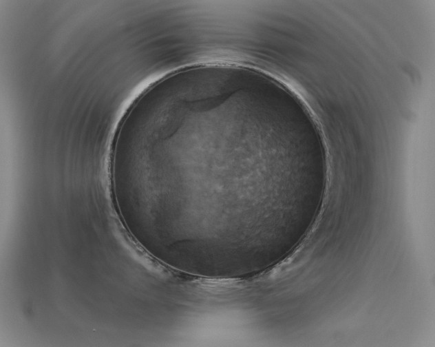 X0000113290864200909141203