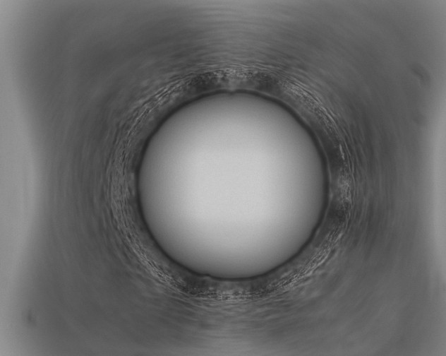 X0000113290865200909141202