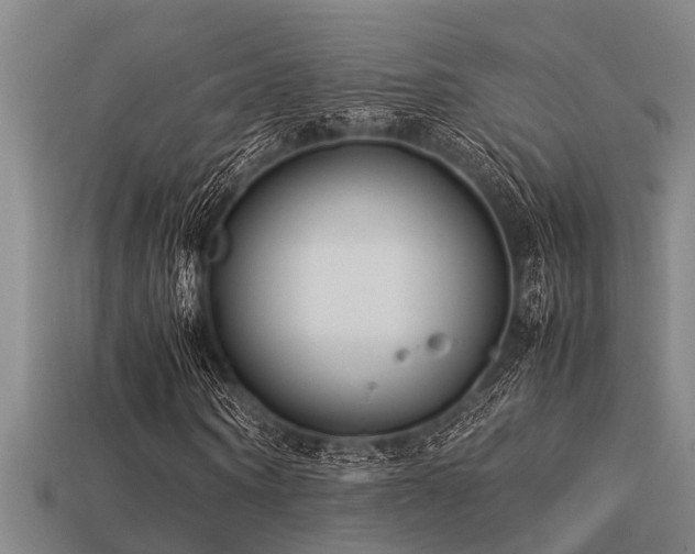 X0000113290866200909141202