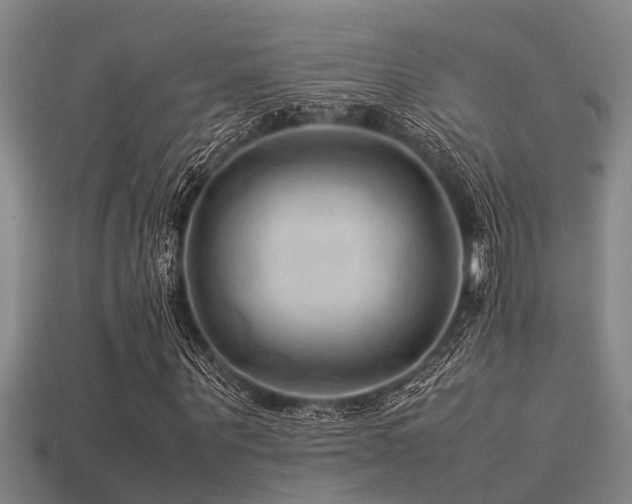 X0000113290867200909141202