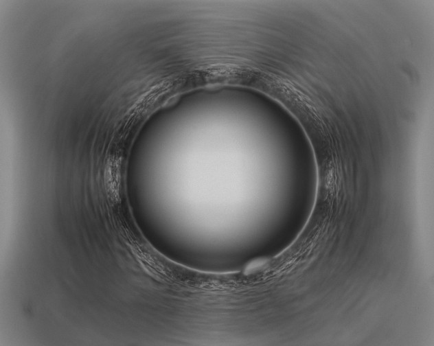 X0000113290868200909141202