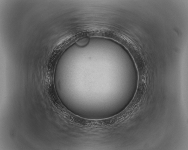 X0000113290869200909141202