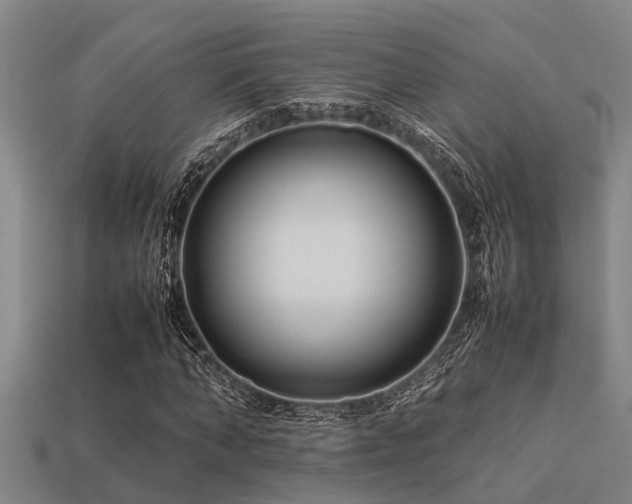 X0000113290870200909141202