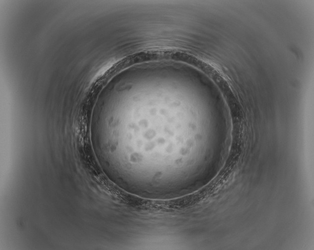 X0000113290871200909141202