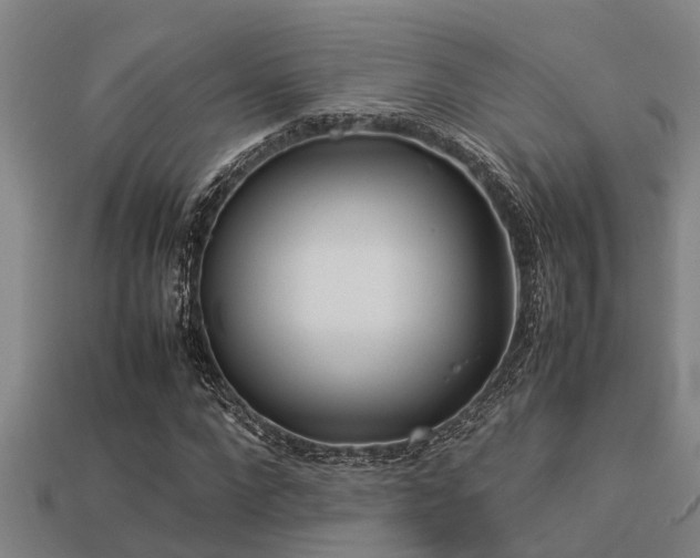 X0000113290872200909141202