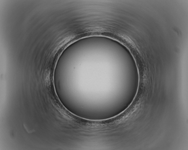 X0000113290873200909141202