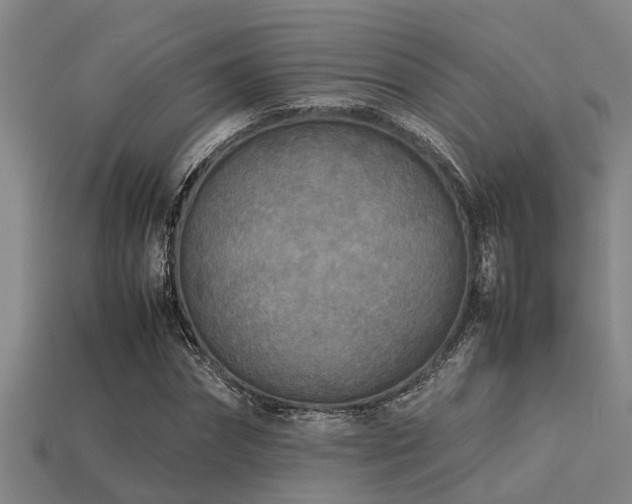 X0000113290874200909141202