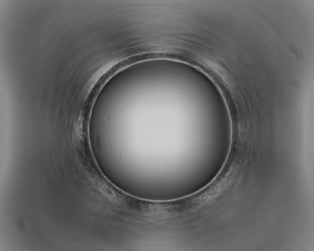 X0000113290875200909141202