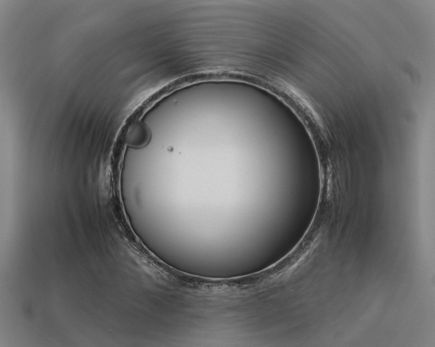 X0000113290876200909141202