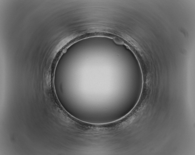 X0000113290877200909141202