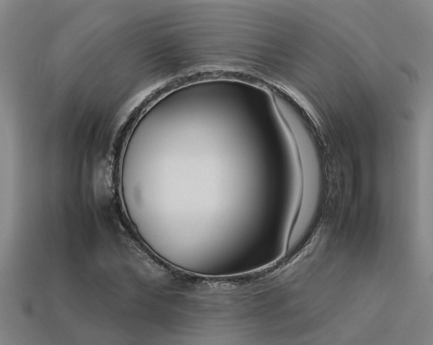 X0000113290878200909141202