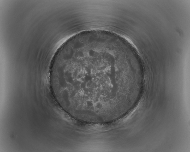 X0000113290879200909141202