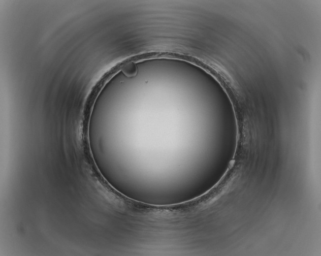 X0000113290880200909141202