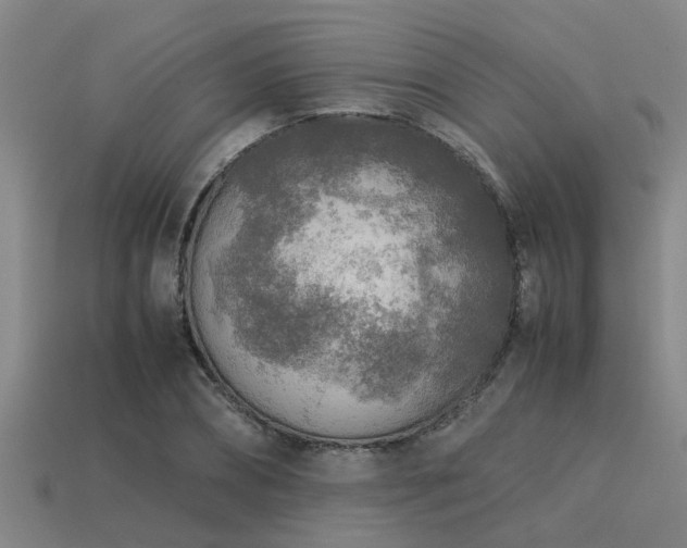 X0000113290882200909141202