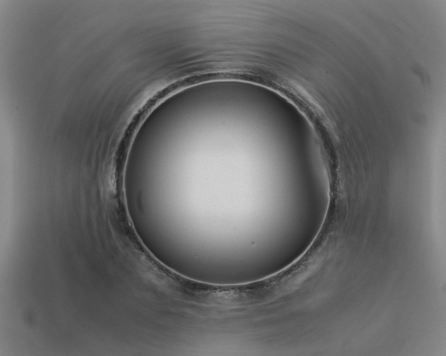 X0000113290883200909141202