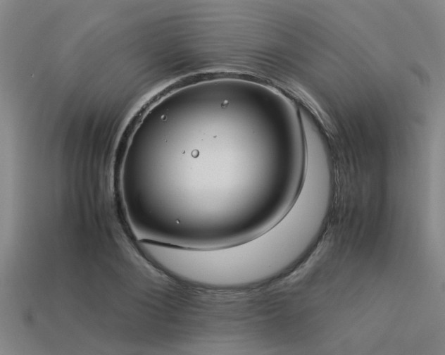 X0000113290884200909141202