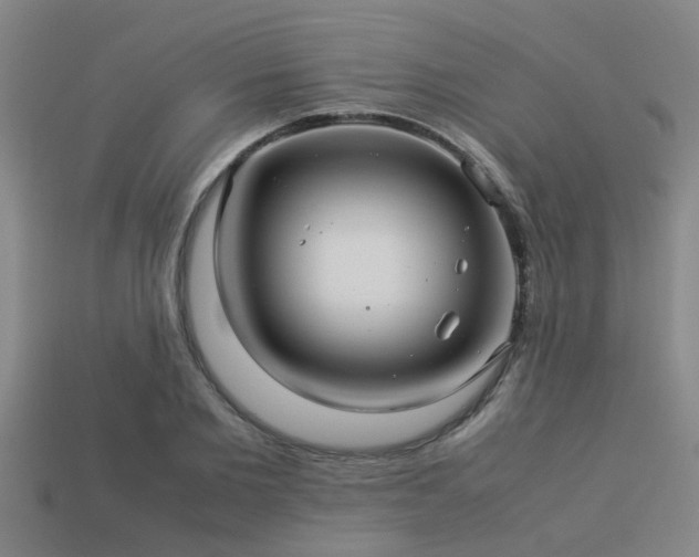 X0000113290885200909141202