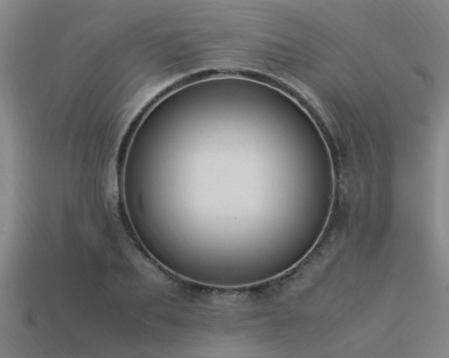 X0000113290887200909141202