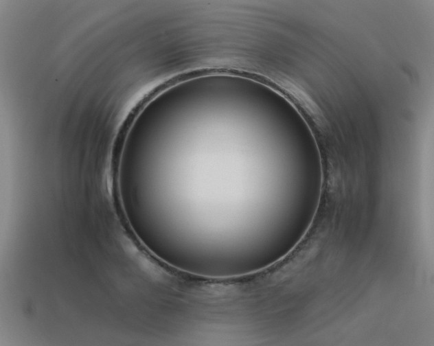 X0000113290888200909141202