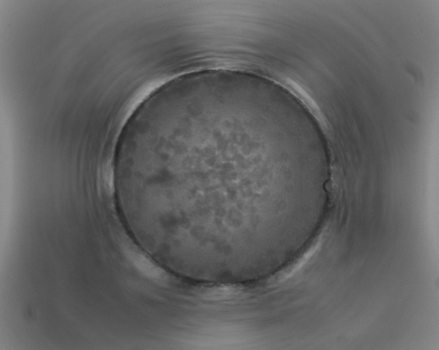 X0000113290891200909141202