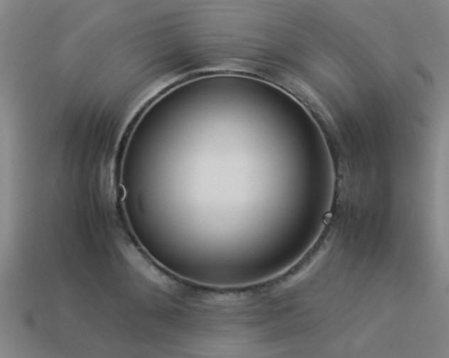 X0000113290892200909141202