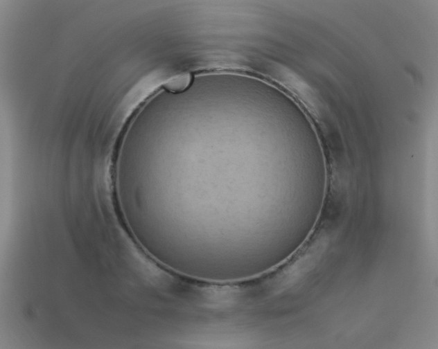 X0000113290893200909141202