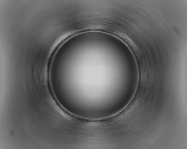 X0000113290894200909141202