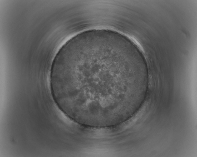 X0000113290895200909141202