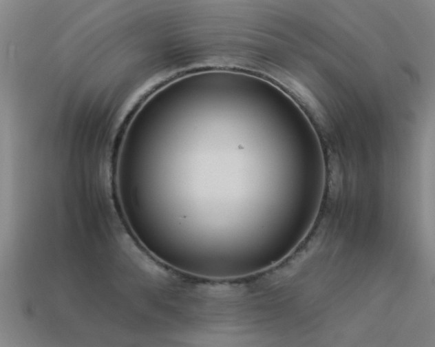 X0000113290896200909141202