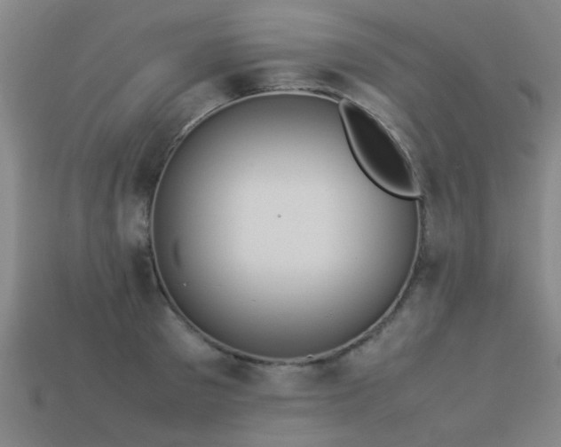 X0000113290897200909141202