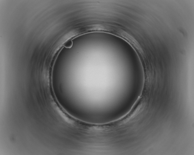 X0000113290898200909141202